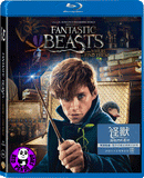 Fantastic Beasts And Where To Find Them 怪獸與牠們的產地 Blu-Ray (2016) (Region A) (Hong Kong Version)