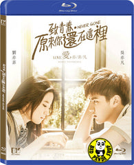 Never Gone 致青春。原來你還在這裡 Blu-ray (2016) (Region A) (English Subtitled)