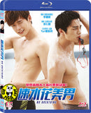 No Breathing 速水花美男 (2013) (Region A Blu-ray) (English Subtitled) Korean movie a.k.a. Nobeureshing