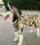(269) Woodland Camouflage Water-Resistant Raincoat for Medium and Large Dogs
