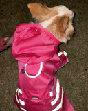 (274) Pet Dog Walking Accessory Reflective Strips Rain Coat for Small Medium Dogs (3 Colours)