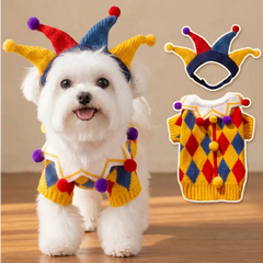 (277) Colourful Circle Clown Knitted Costume Outfit Small and Medium Cats Dogs
