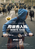 White God 狗眼看人間 (2015) (Region 3 DVD) (English Subtitled) Hungary Movie