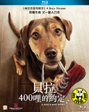A Dog's Way Home Blu-Ray (2019) 貝拉400哩的約定 (Region A) (Hong Kong Version)
