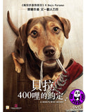 A Dog's Way Home (2019) 貝拉400哩的約定 (Region 3 DVD) (Chinese Subtitled)