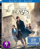 Fantastic Beasts And Where To Find Them 怪獸與牠們的產地 2D + 3D Blu-Ray (2016) (Region A) (Hong Kong Version) 2 Disc