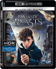 Fantastic Beasts And Where To Find Them 怪獸與牠們的產地 4K UHD + Blu-Ray (2016) (Region Free) (Hong Kong Version)